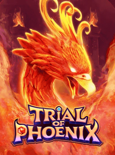 Dragon Tiger live card game cover
